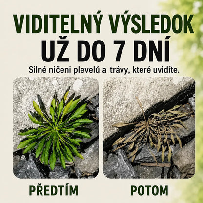 🔥 AKCE 2026 – Rychle působící přírodní postřik proti plevelům a trávě